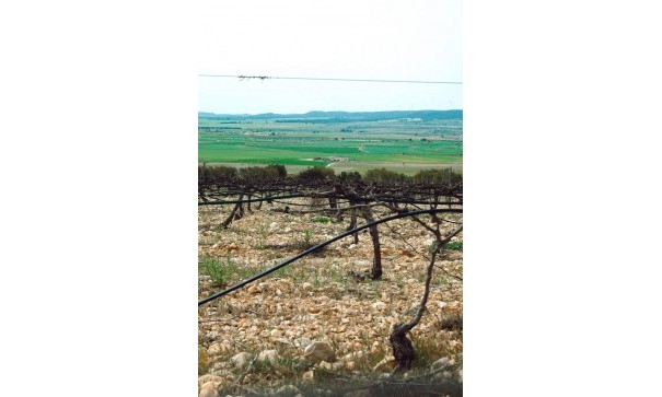 New Build - Detached Villa -
Yecla