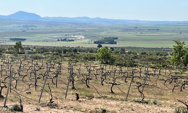 New Build - Detached Villa -
Yecla