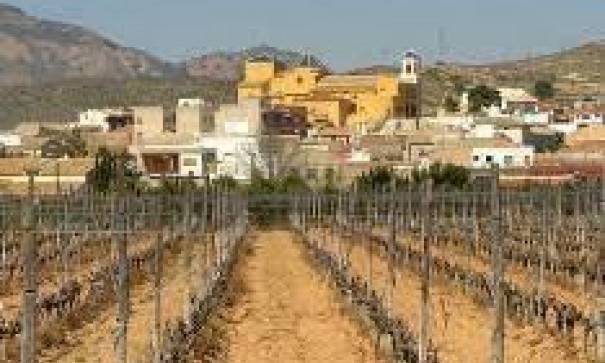 New Build - Apartment Flat -
Hondón de las Nieves - Canalosa