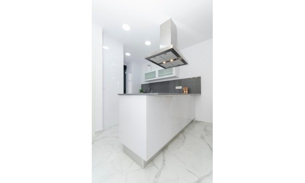 Nowa konstrukcja - Willa wolnostojąca -
Torrevieja - Torretas