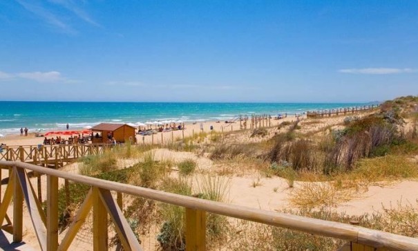 New Build - Detached Villa -
Benijofar - Pueblo