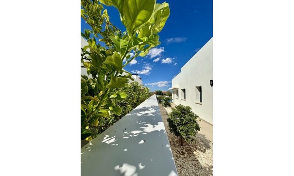 New Build - Freistehende Villa -
Benijofar