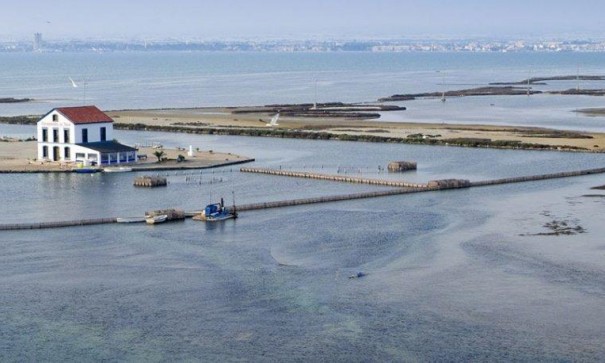 Nybyggd - Lägenhet lägenhet -
San Pedro del Pinatar - Pueblo