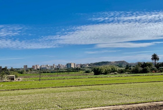 Revente - Villa Individuelle -
Guardamar del Segura