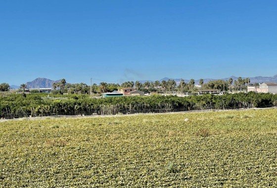 Revente - Villa Individuelle -
Guardamar del Segura