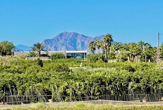 Revente - Villa Individuelle -
Guardamar del Segura