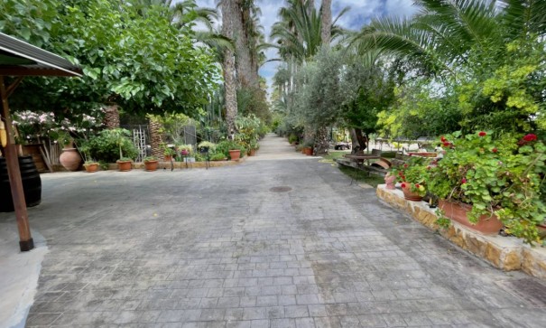 Sale - Finca Country Property -
Orihuela