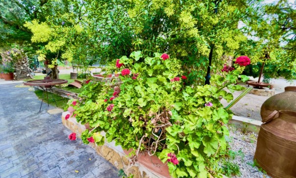 Sale - Finca Country Property -
Orihuela