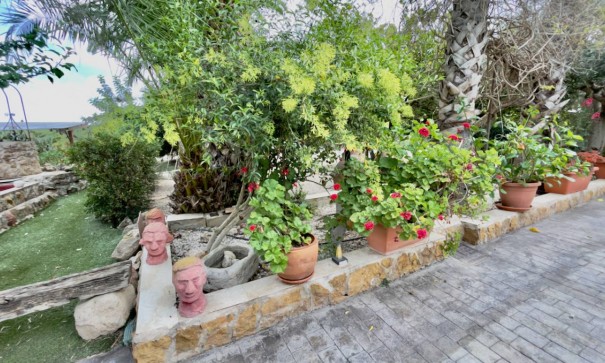 Sale - Finca Country Property -
Orihuela