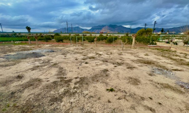 Venta - Chalet Independiente -
Orihuela