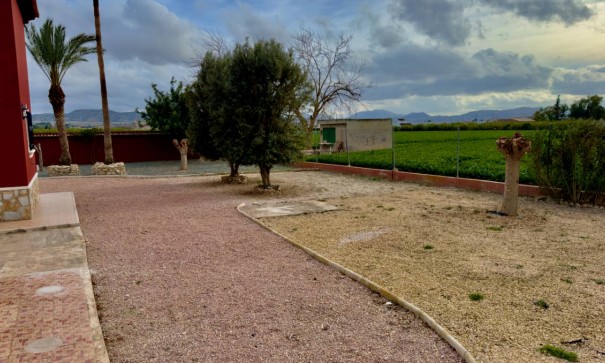 Venta - Chalet Independiente -
Orihuela