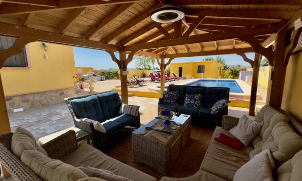 Venta - Finca Propiedad rural -
Orihuela