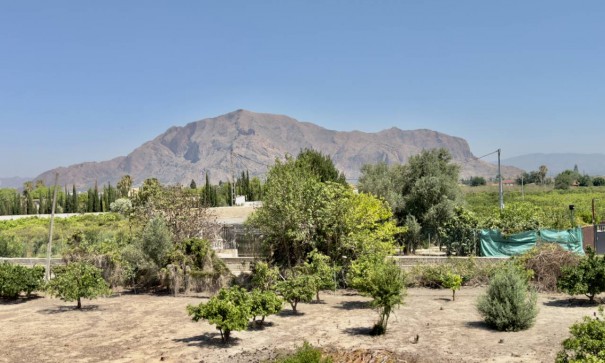 Venta - Finca Propiedad rural -
Orihuela