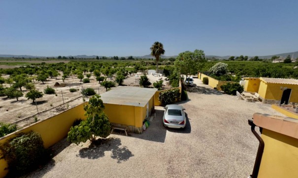 Venta - Finca Propiedad rural -
Orihuela