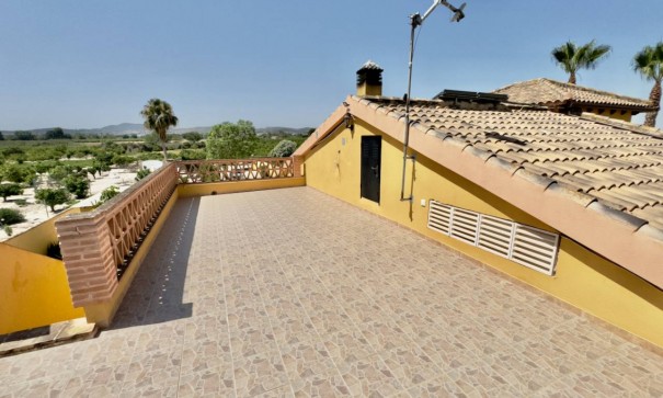 Venta - Finca Propiedad rural -
Orihuela