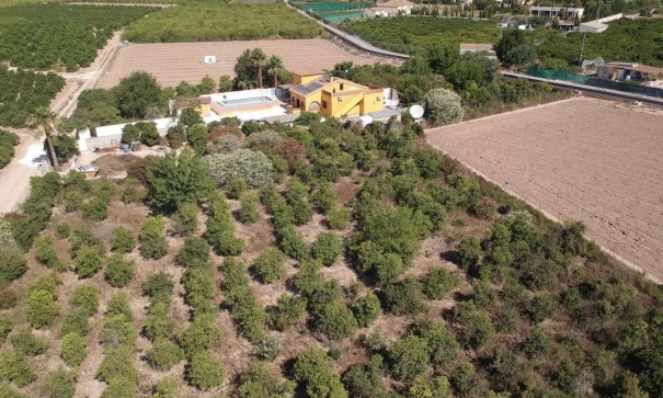 Venta - Finca Propiedad rural -
Orihuela