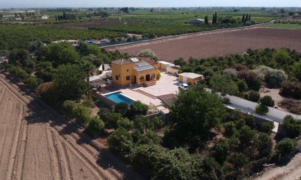 Venta - Finca Propiedad rural -
Orihuela