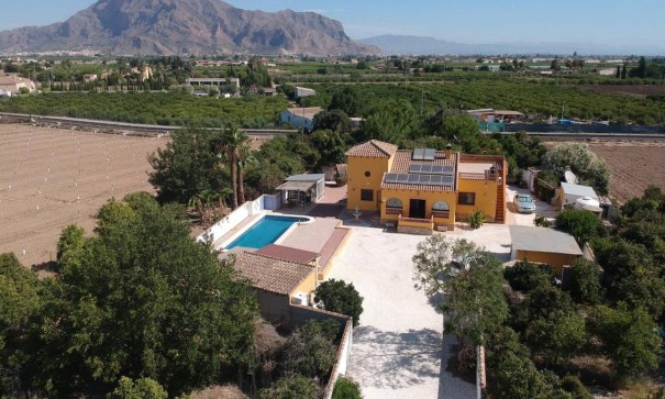 Venta - Finca Propiedad rural -
Orihuela