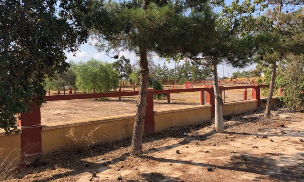 Resale - Finca Landgut -
Los Montesinos