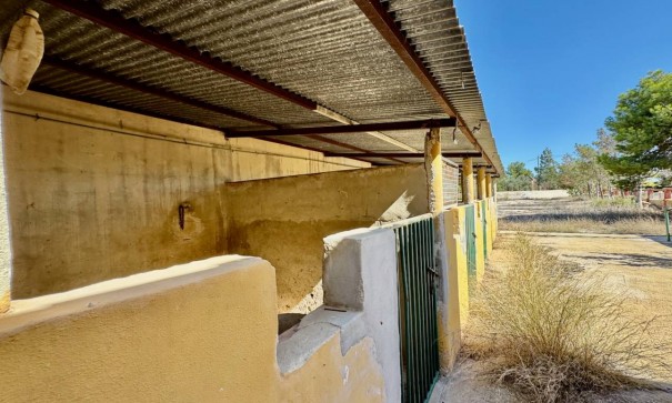 Resale - Finca Landgut -
Los Montesinos