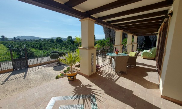 Venta - Finca Propiedad rural -
Bigastro