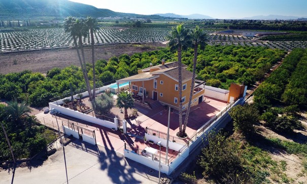 Venta - Finca Propiedad rural -
Orihuela