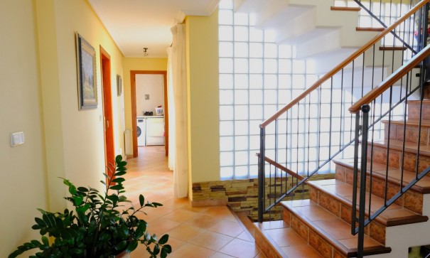 Venta - Finca Propiedad rural -
Orihuela