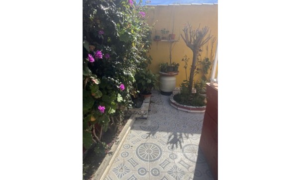 Sprzedaż - Willa wolnostojąca -
Punta Prima