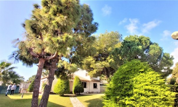 Revente - Villa Individuelle -
Torrevieja