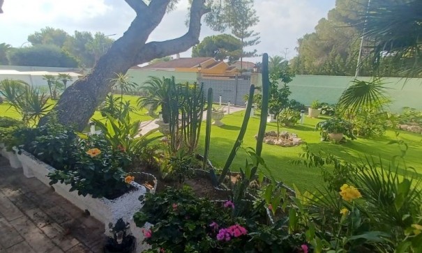 Sprzedaż - Willa wolnostojąca -
Orihuela Costa