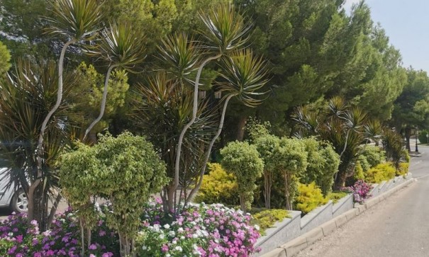 Resale - Wohnung Appartement -
Orihuela Costa