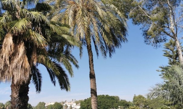 Resale - Wohnung Appartement -
Orihuela Costa