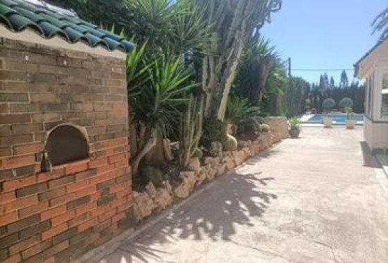 Sprzedaż - Willa wolnostojąca -
Elche