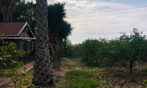 Återförsäljning - Finca lantlig egendom -
Orihuela