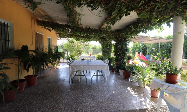 Videresalg - Finca landejendom -
Albatera