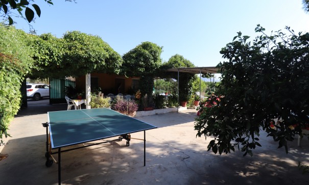 Videresalg - Finca landejendom -
Albatera