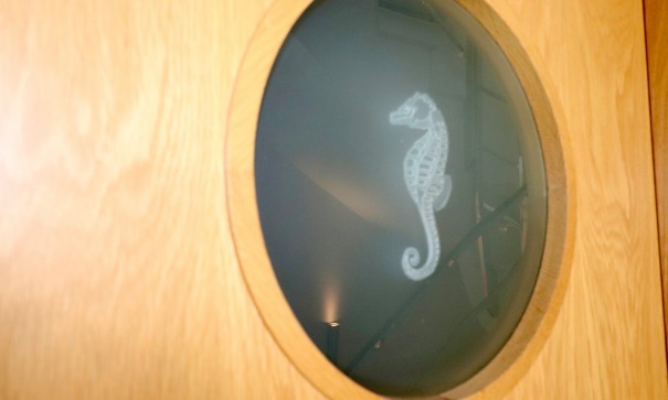 Herverkoop - Stadswoning -
Guardamar del Segura - Guardamar Playa