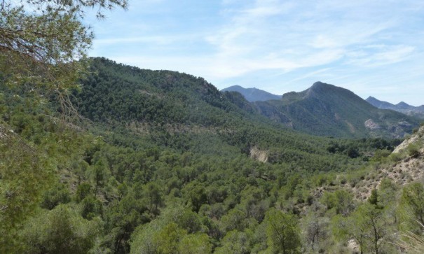 Venta - Chalet Independiente -
Murcia