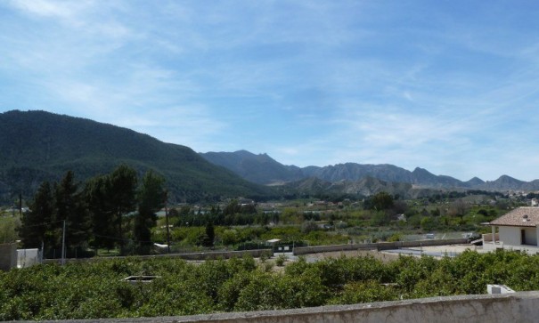 Venta - Chalet Independiente -
Murcia