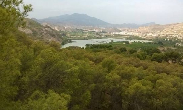 Venta - Chalet Independiente -
Murcia