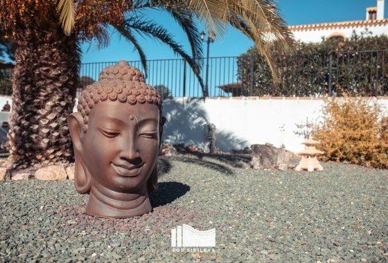 Revente - Finca Propriété rurale -
Lorca