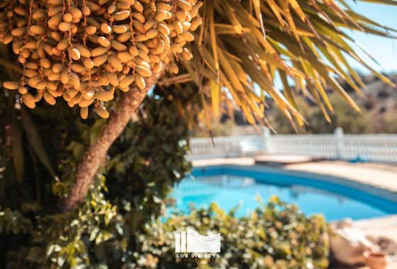 Revente - Finca Propriété rurale -
Lorca