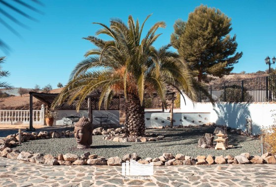 Revente - Finca Propriété rurale -
Lorca