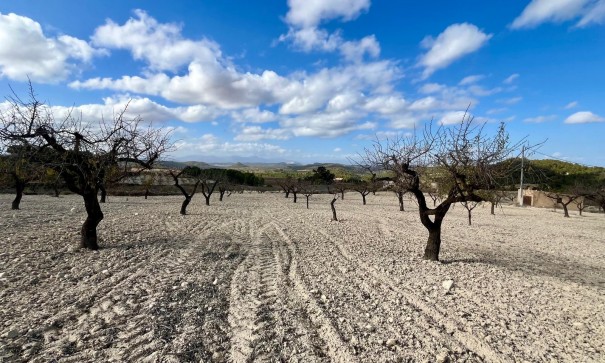 Revente - Parcelle Terrain -
Bullas - Costa Calida