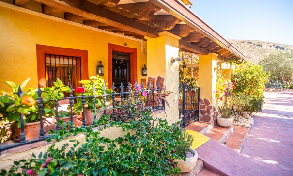 Herverkoop - Commercieel -
Hondón de las Nieves - Hondón De Las Nieves