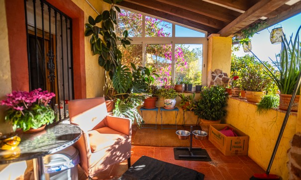 Herverkoop - Commercieel -
Hondón de las Nieves - Hondón De Las Nieves