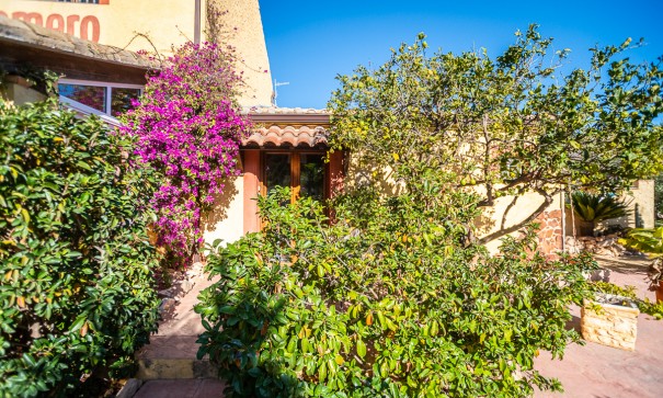 Herverkoop - Commercieel -
Hondón de las Nieves - Hondón De Las Nieves