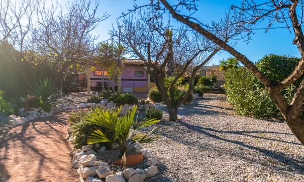 Herverkoop - Commercieel -
Hondón de las Nieves - Hondón De Las Nieves