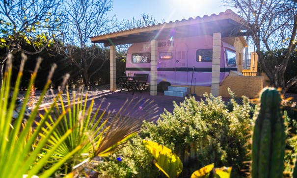 Herverkoop - Commercieel -
Hondón de las Nieves - Hondón De Las Nieves