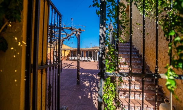 Herverkoop - Commercieel -
Hondón de las Nieves - Hondón De Las Nieves